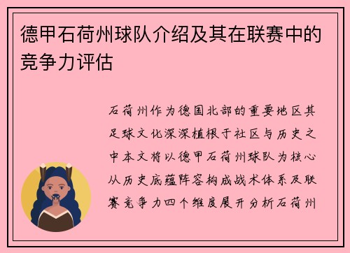 德甲石荷州球队介绍及其在联赛中的竞争力评估